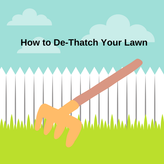 How to Dethatch Your Lawn