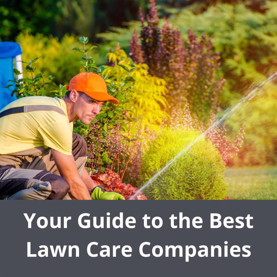 your-guide-to-the-best-lawn-care-companies-lawnbright