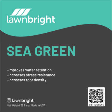 sea green