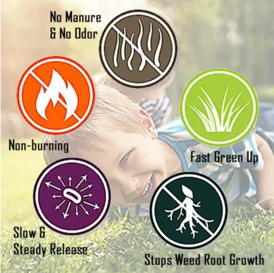 A child lying on grass Collage of icons and text on lawn care benefits: no manure, non-burning, fast green up, slow release, and weed root control.