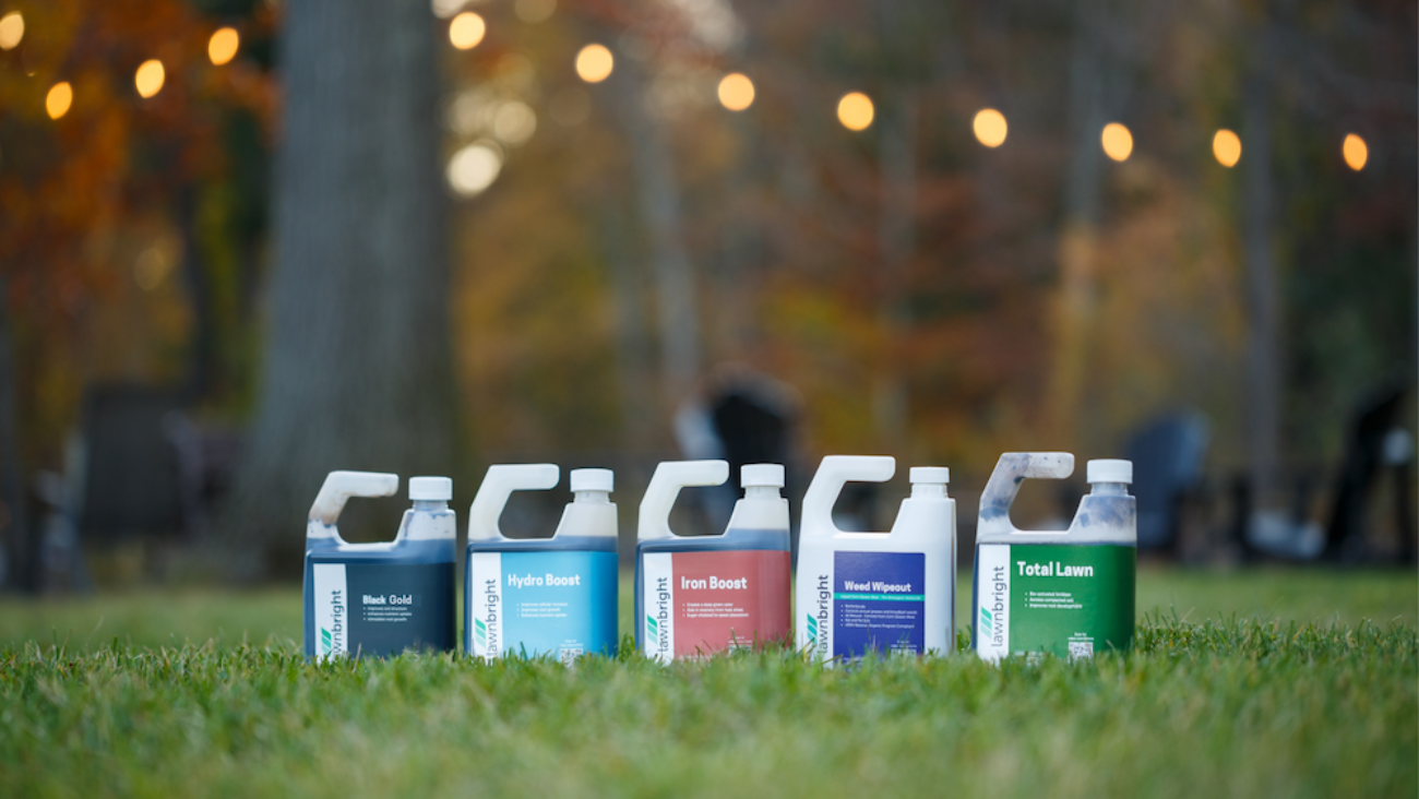 product lineup