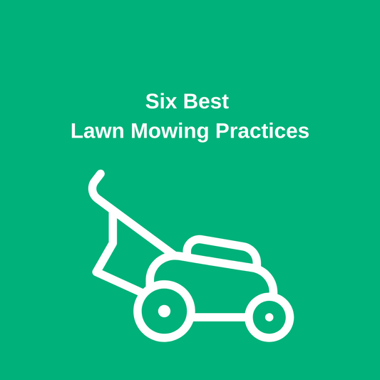 Six best Lawn Mowing Practices 