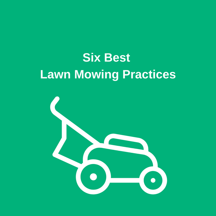 6 Best Lawn Mowing Practices