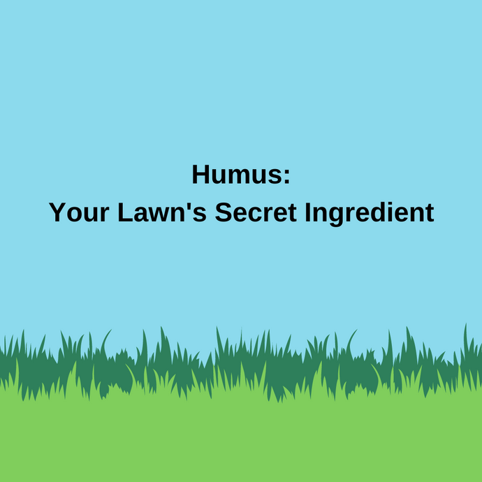 Why Humus Is So Important for Lawn Health