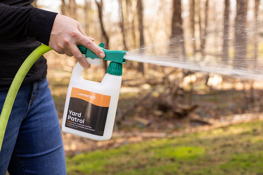 How to Keep Mosquitoes Out of Your Yard (Without Harsh Chemicals)