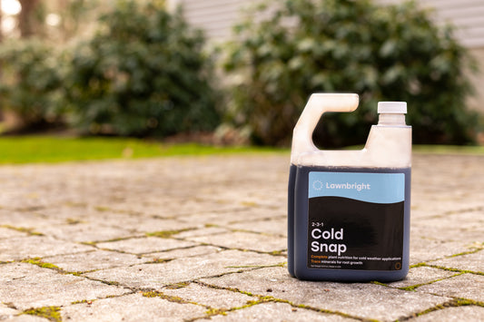 Lawnbright Cold Snap Winterizer
