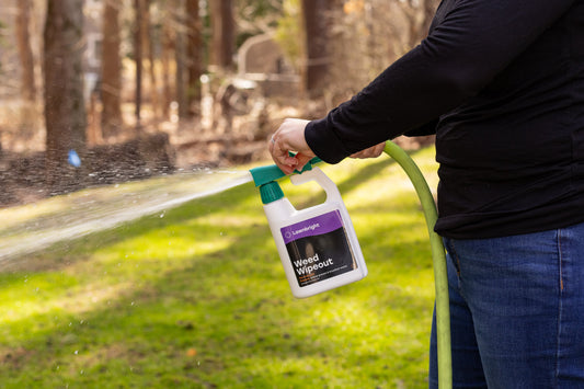 Woman spraying Weed Wipeout pre emergent on lawn