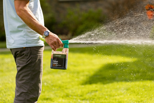  Homeowner applying Lawnbright natural lawn treatment using hose-end sprayer.