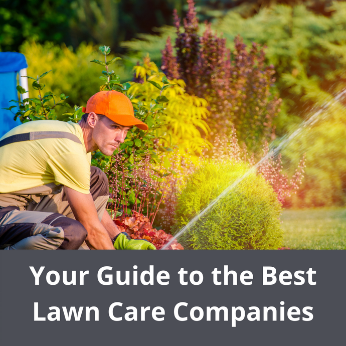 Your Guide to the Best Lawn Care Companies