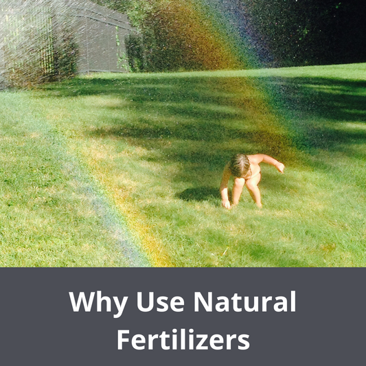 Why natural fertilizer works better