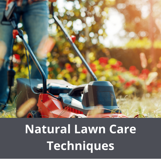 Natural Lawn Care Techniques