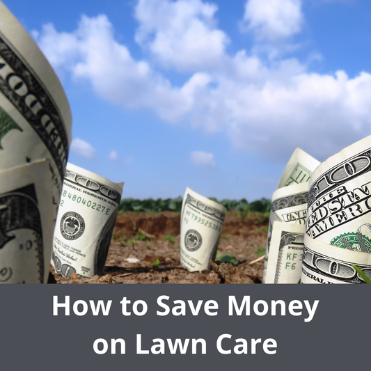 How to save money on lawn Care
