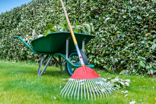 A red rake leaning on a wheelbarrow against green grass