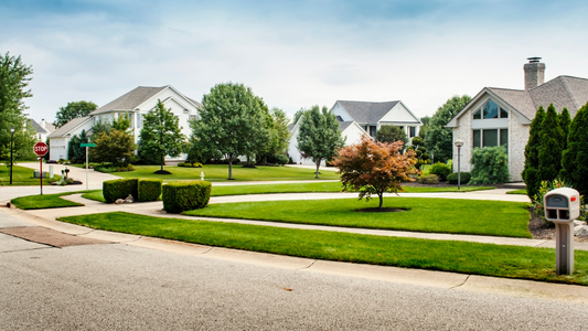 Texas and Deep South summer lawn care guide.