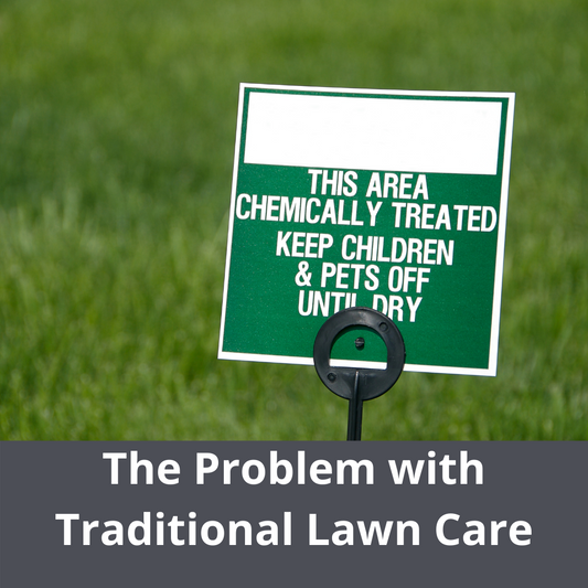 Why Use Natural Lawn Care Products