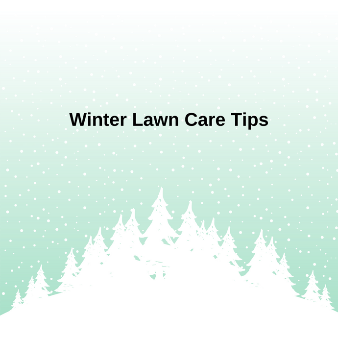 Winter Lawn Care Tips