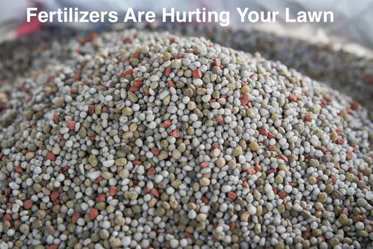 Synthetic Fertilizers are hurting your lawn