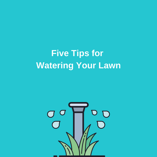 Five Tips for watering your lawn 