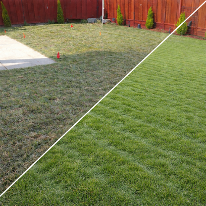 Total Lawn Fertilizer