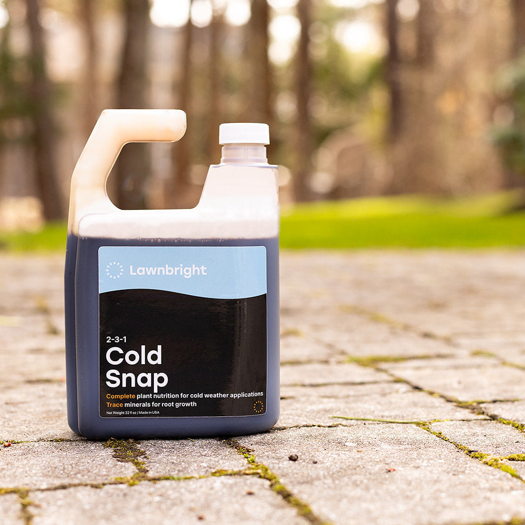 メンテナンス PFINDER W550 320ml Cold Snap Lawn Winterizer – Lawnbright