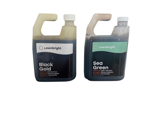 bottle of black gold and sea green