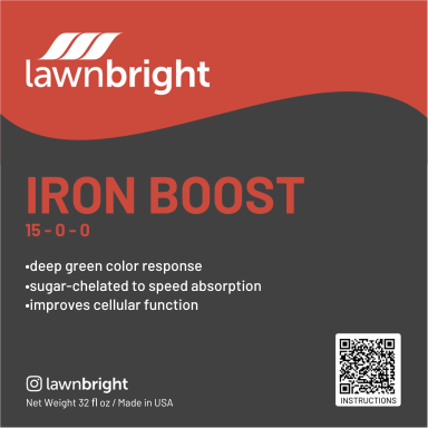 iron boost