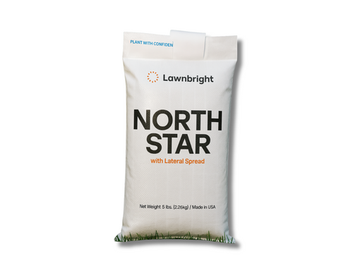 Bag of North Star Lawnbright fertilizer on a white background