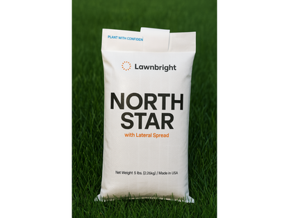 North Star Rhizomatous Tall Fescue (5lbs)