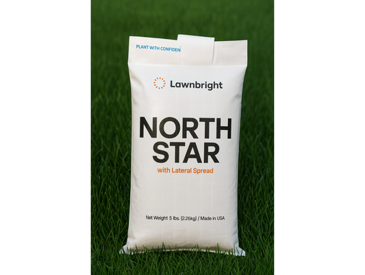 North Star Rhizomatous Tall Fescue (5lbs)