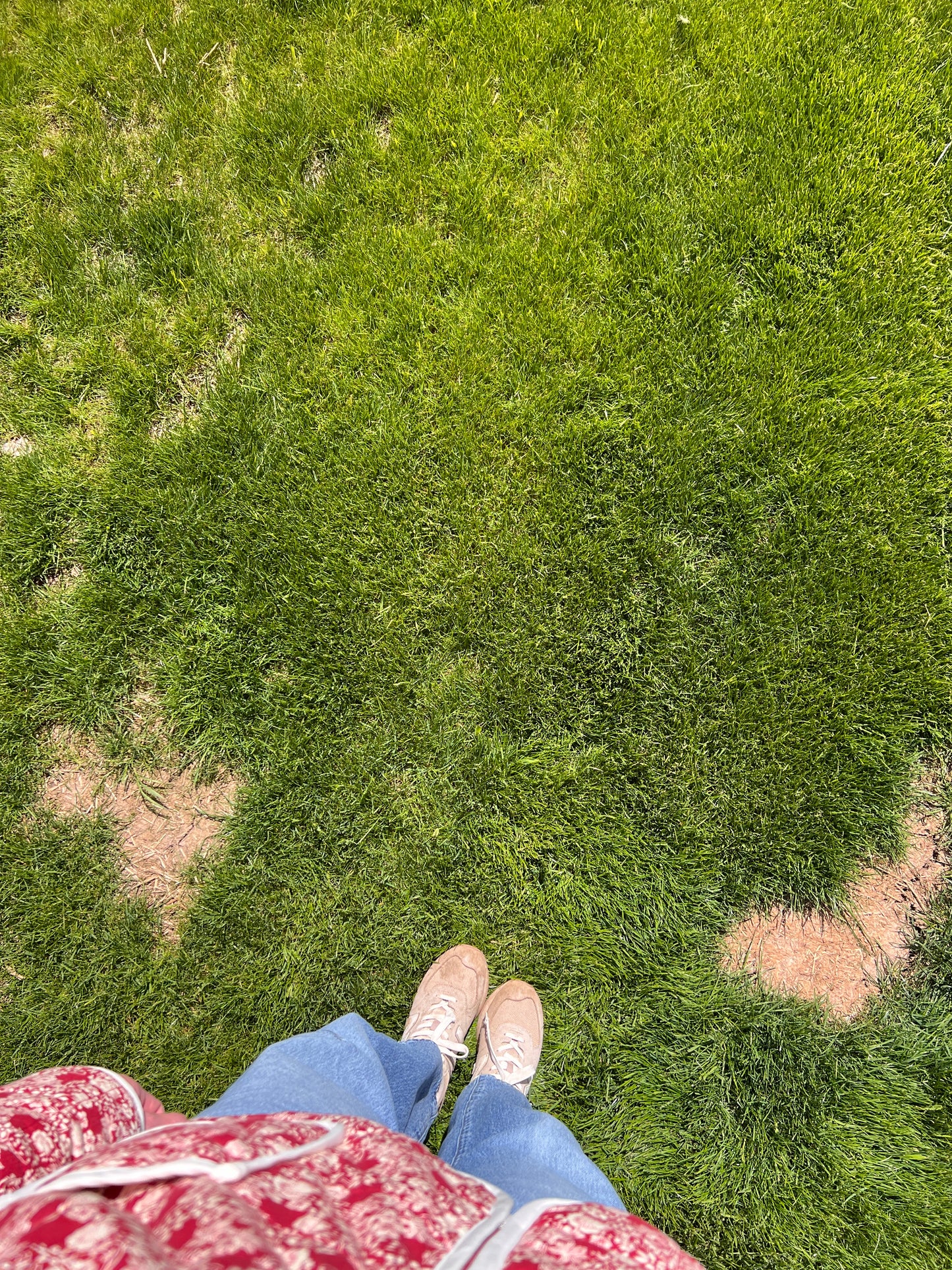 A top-down view of a person standing on green grass, wearing blue jeans, beige sneakers, and a red-and-white patterned top.