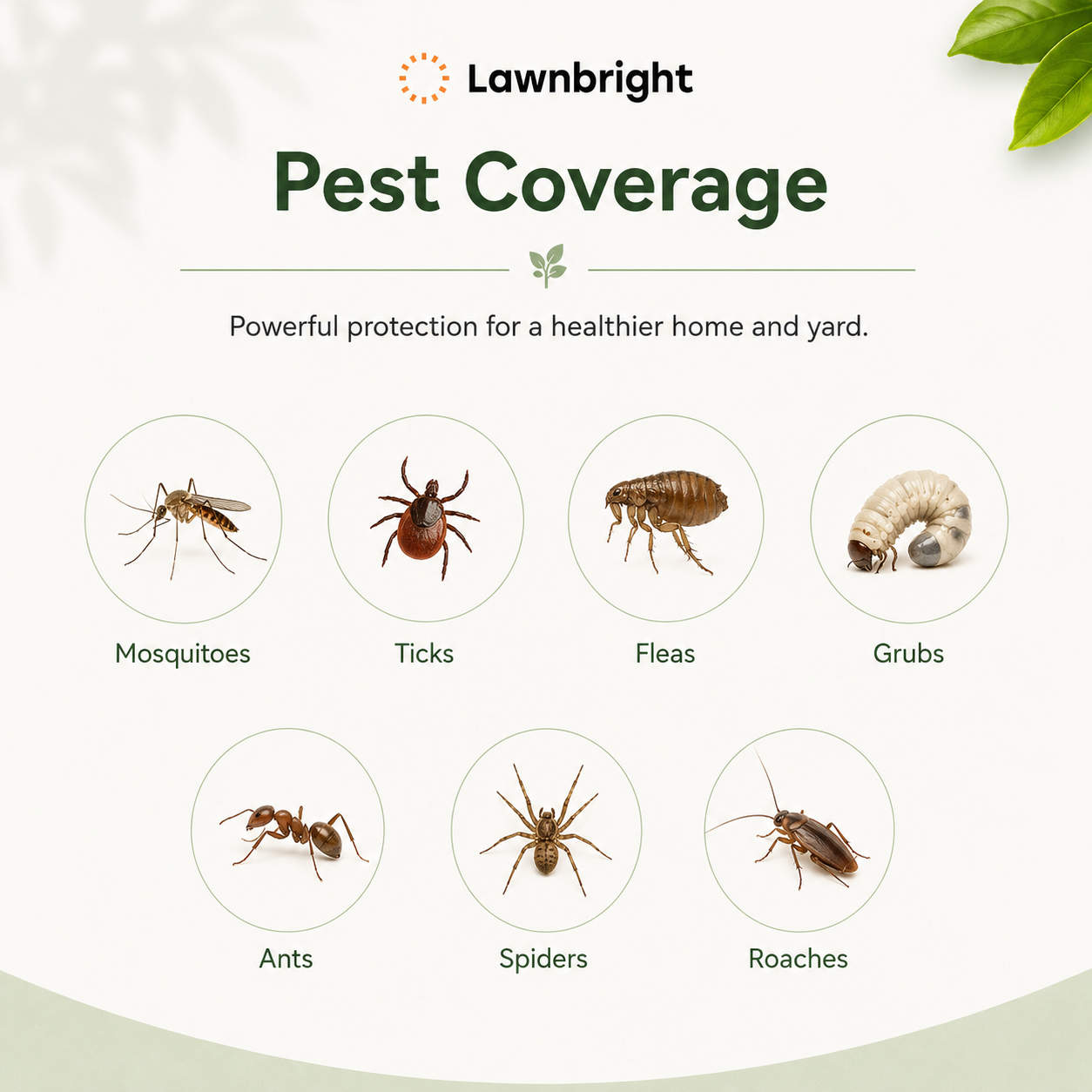 A graphic demonstrating the coverage of Lawnbright pest repellents