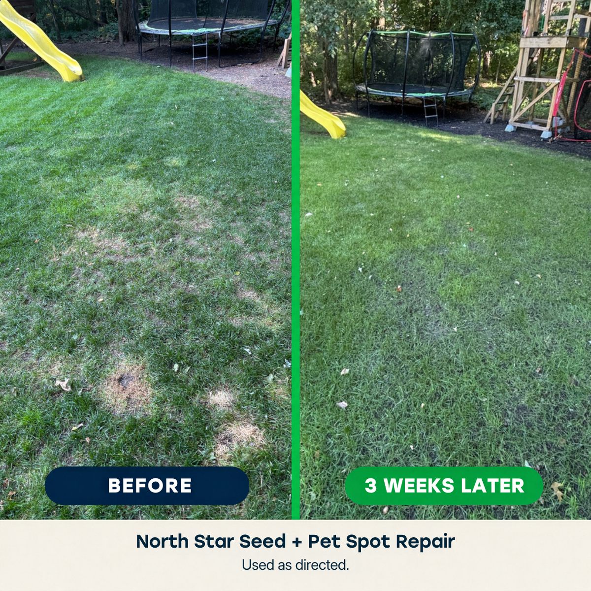 Before-and-after split comparison of a backyard lawn showing patchy grass repair. The left side labeled 'BEFORE' shows dry, patchy green grass, while the right side labeled '3 WEEKS LATER' shows healthier, denser green grass.