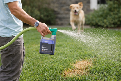 Person using a spray bottle labeled 'Pet Spot Repair' on grass with a dog in the background