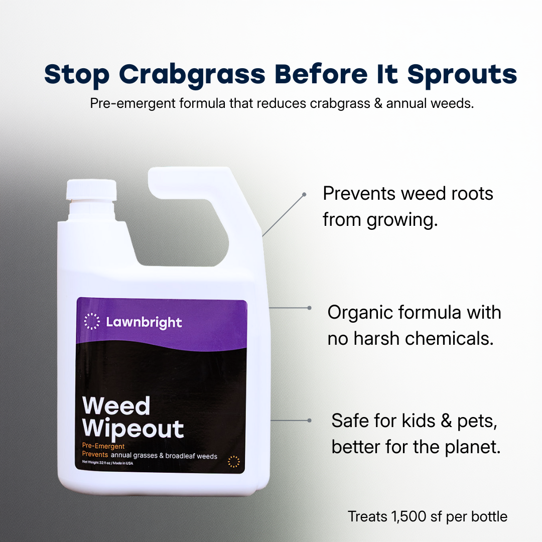preemergence herbicides for crabgrass Pre-Emergent Weed Control