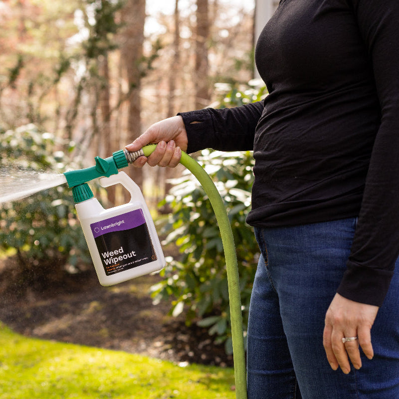 environmentally friendly pre emergent herbicide Natural Lawn Care Subscription