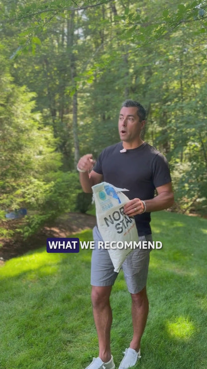 A video explaining North Star Grass Seed and what it does.