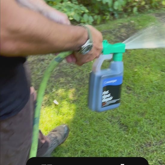 A man applies Pet Spot Repair to patchy lawn, saturating the lawn.