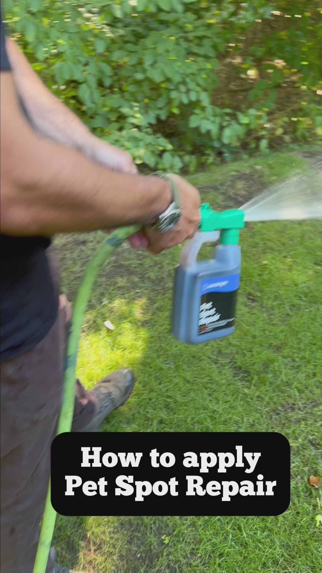 A man applies Pet Spot Repair to patchy lawn, saturating the lawn.