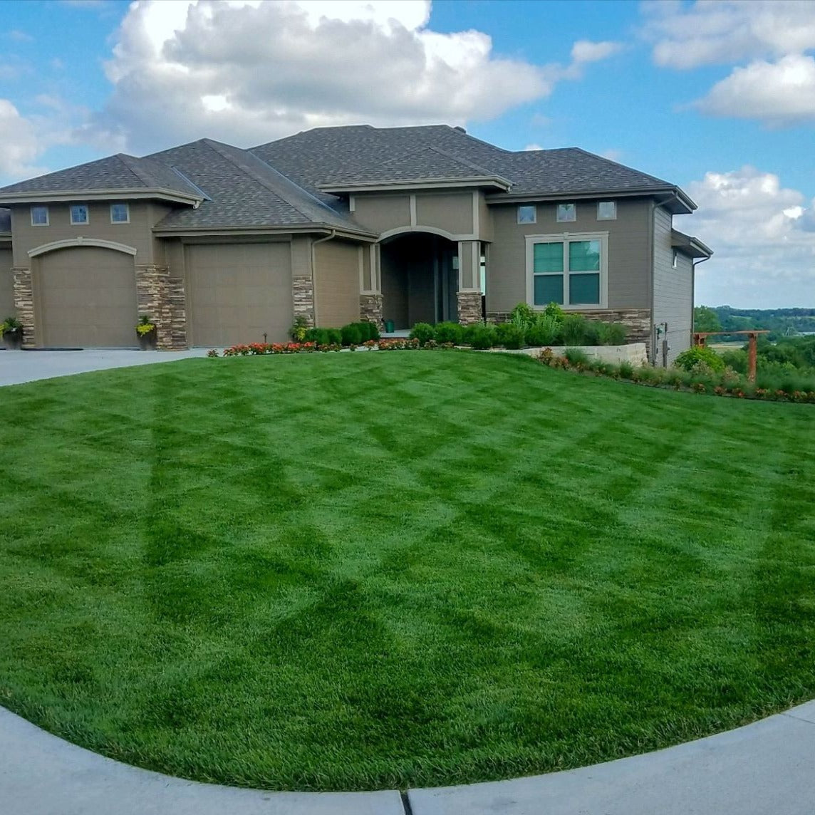 best grass seed for garden lawn Natural Lawn Care Subscription